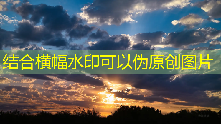 <strong>米乐：室内健身操兔子</strong>